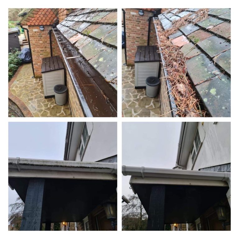 Gutter Clearing/Fascia's and Soffits Cleaning